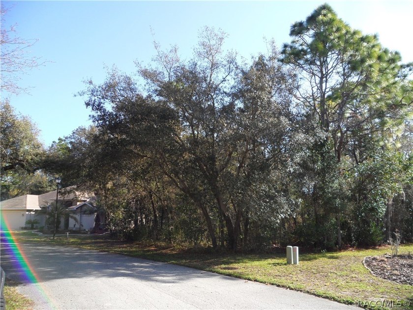 Welcome to the Oak Village Community of Sugarmill Woods. This - Beach Lot for sale in Homosassa, Florida on Beachhouse.com