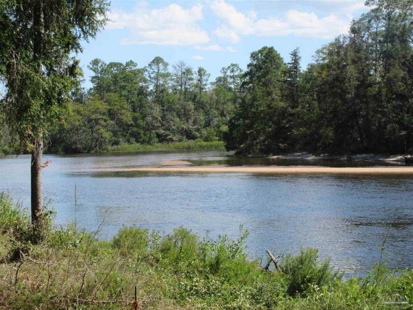 One Of A Kind Waterfront Home: 217' On Blackwater River * 3.57 - Beach Home for sale in Milton, Florida on Beachhouse.com