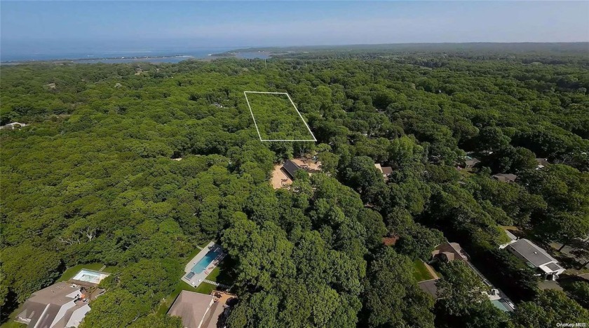Super quiet street, well-hidden and peaceful. Oversized lot of - Beach Lot for sale in East Hampton, New York on Beachhouse.com