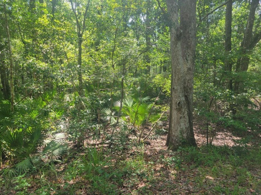 A perfect location for nature lovers to build a home! This lot - Beach Lot for sale in Crawfordville, Florida on Beachhouse.com