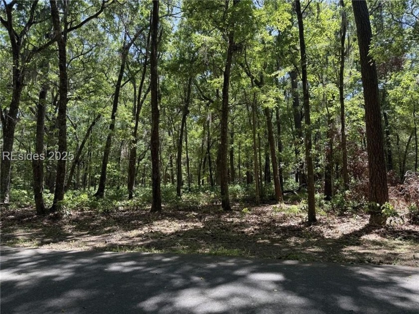 Imagine building your dream beach cottage only steps away from - Beach Lot for sale in Daufuskie Island, South Carolina on Beachhouse.com