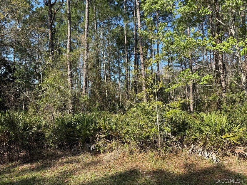 Beautiful 0.27-acre estate-sized lot located on a quiet - Beach Lot for sale in Homosassa, Florida on Beachhouse.com