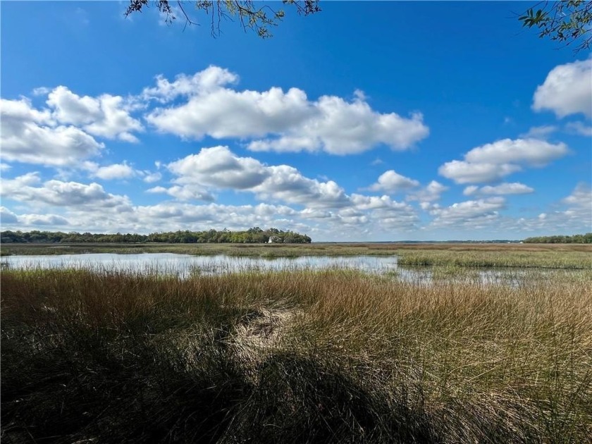 Check Out The Views From This Wonderful Marsh-Front Homesite (1 - Beach Lot for sale in Townsend, Georgia on Beachhouse.com