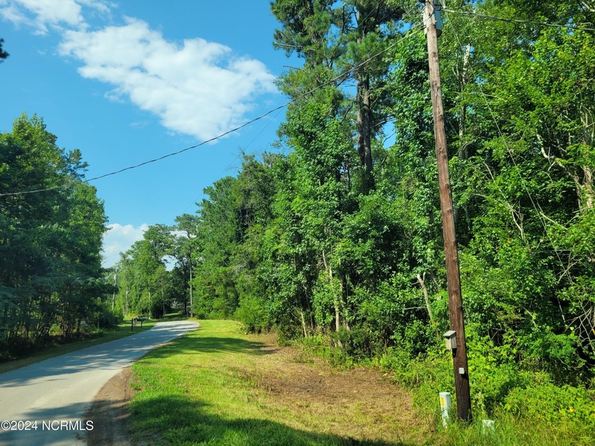 Triangular shaped lot has large street frontage that slopes away - Beach Lot for sale in Leland, North Carolina on Beachhouse.com