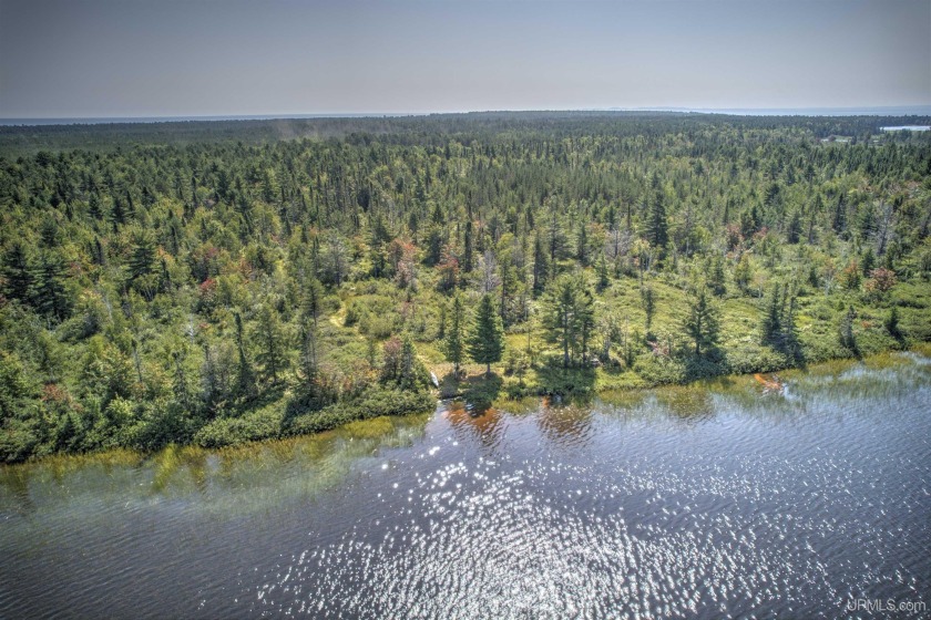 Nestled in the heart of nature, this stunning 10.46-acre - Beach Acreage for sale in Lake Linden, Michigan on Beachhouse.com