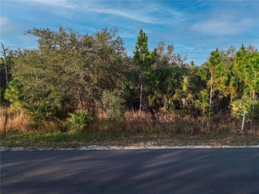 This is a fantastic piece of land in a cute neighborhood! - Beach Lot for sale in Palm Bay, Florida on Beachhouse.com
