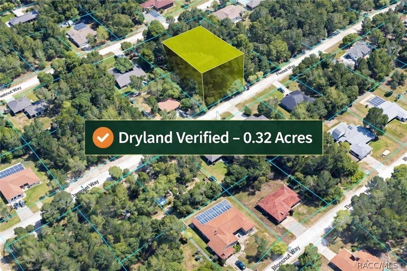 All UPLAND - DRYLAND -- .30 Acres vacant land in the prime - Beach Lot for sale in Weeki Wachee, Florida on Beachhouse.com