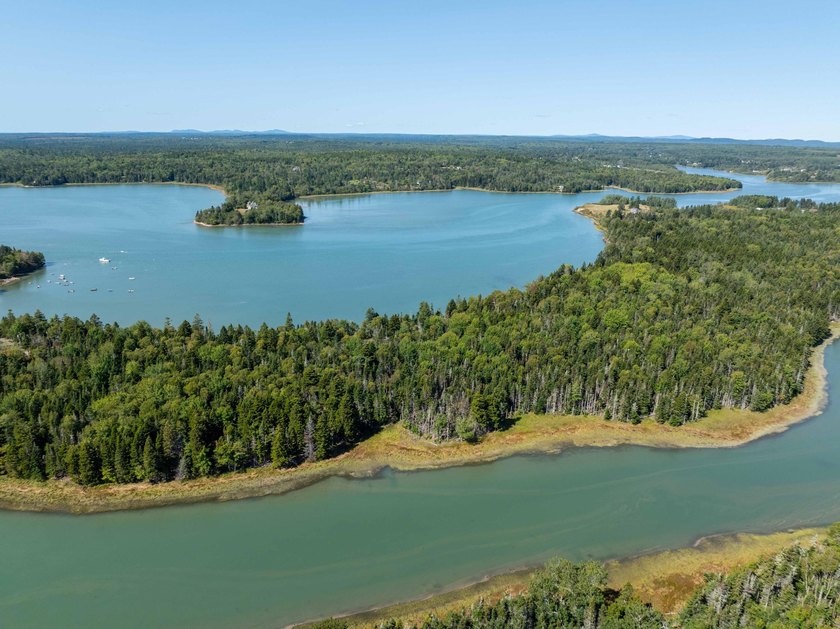 10.42 acres with over 1,850 feet of tidal waterfront along both - Beach Acreage for sale in Jonesboro, Maine on Beachhouse.com