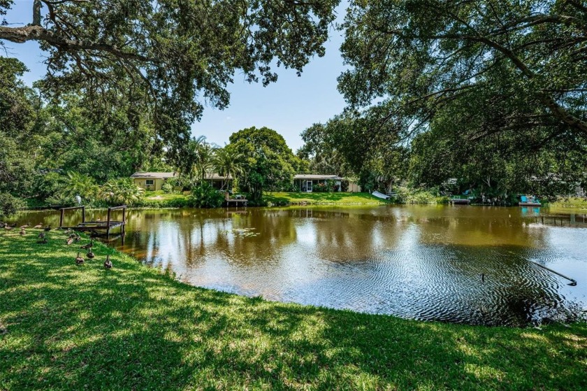 2 BRAND NEW bathrooms and UPDATED Kitchen!  Welcome to this - Beach Home for sale in Dunedin, Florida on Beachhouse.com