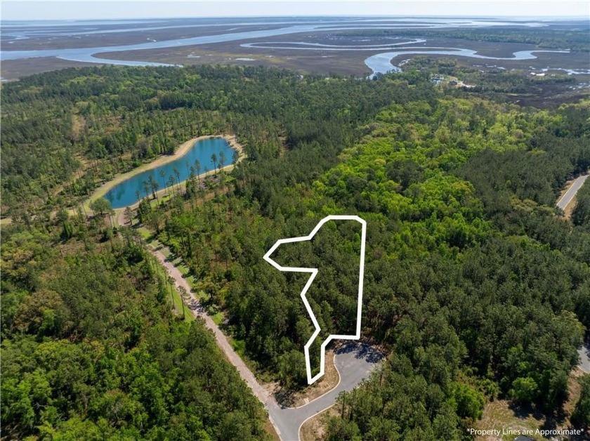 Build your dream home on this gorgeous lakefront lot in - Beach Lot for sale in Waverly, Georgia on Beachhouse.com