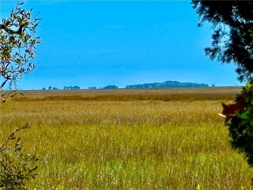 This unique 1.88 acre lot has breathtaking Marsh views offering - Beach Lot for sale in Darien, Georgia on Beachhouse.com