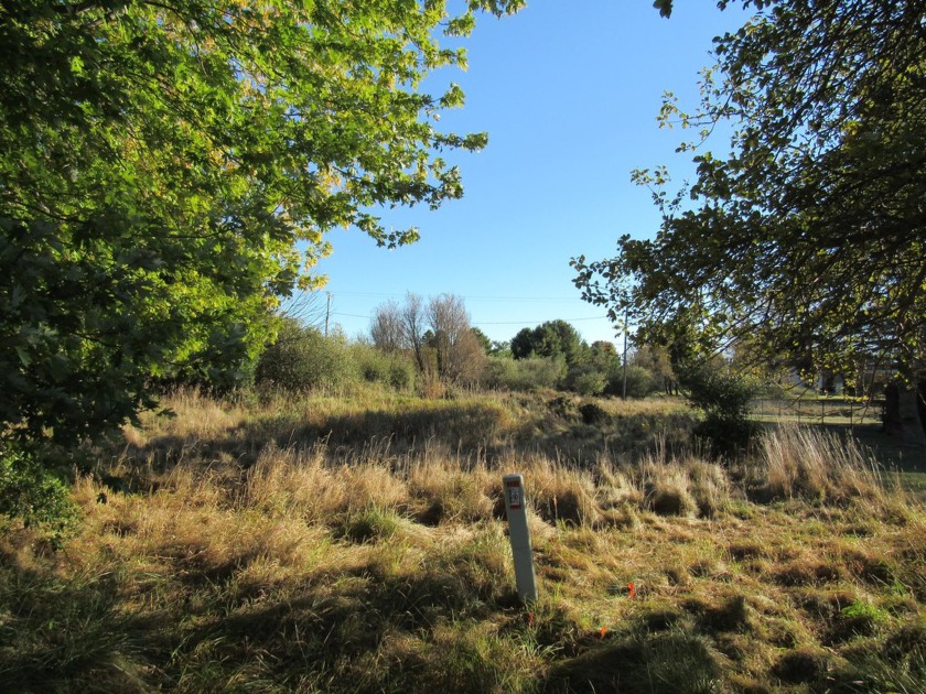 This buildable lot offers incredible views that are sure to - Beach Lot for sale in Manistee, Michigan on Beachhouse.com