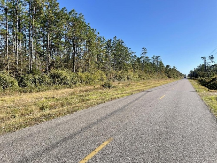 This versatile &amp; divisible tract centrally located between - Beach Acreage for sale in Theodore, Alabama on Beachhouse.com