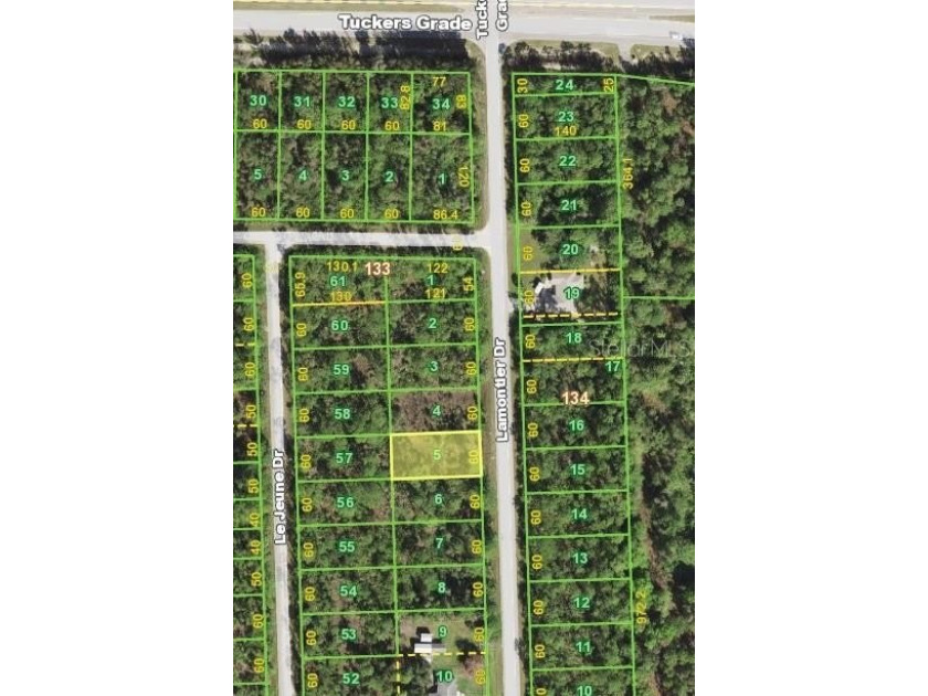 This is one of 18 lots available in beautiful Tropical Gulf - Beach Lot for sale in Punta Gorda, Florida on Beachhouse.com