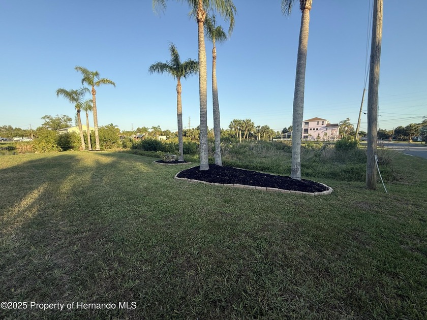 Beautiful park-like lot, maintained by owner that also owns Home - Beach Lot for sale in Hernando Beach, Florida on Beachhouse.com