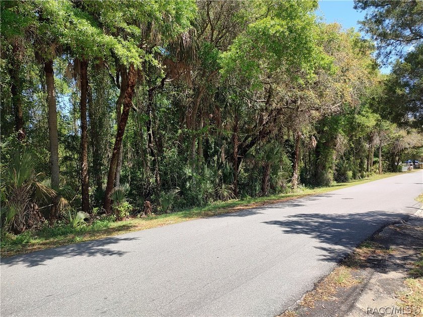 ATTENTION Builders and Developers this listing is for a total of - Beach Acreage for sale in Crystal River, Florida on Beachhouse.com