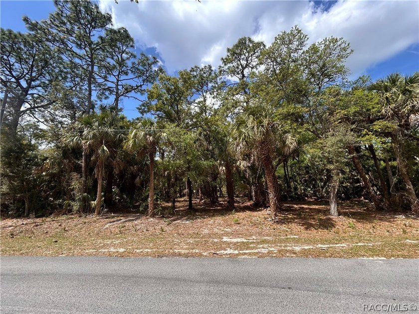 Here's your chance to own or invest in the growing Crystal Manor - Beach Lot for sale in Crystal River, Florida on Beachhouse.com
