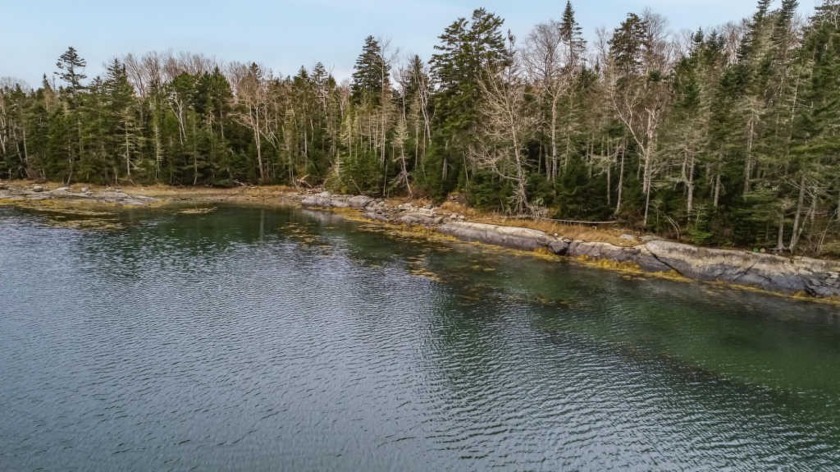 This 2.61 acre ocean front lot is just the right distance out of - Beach Lot for sale in Steuben, Maine on Beachhouse.com