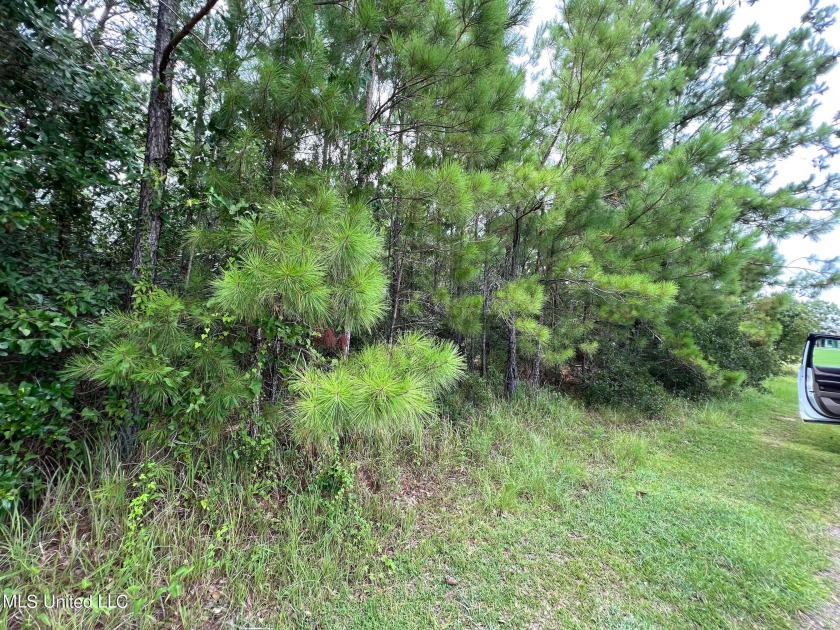 Wooded lot on canal off Bayou Acadia, just minutes to the Wolf - Beach Lot for sale in Pass Christian, Mississippi on Beachhouse.com