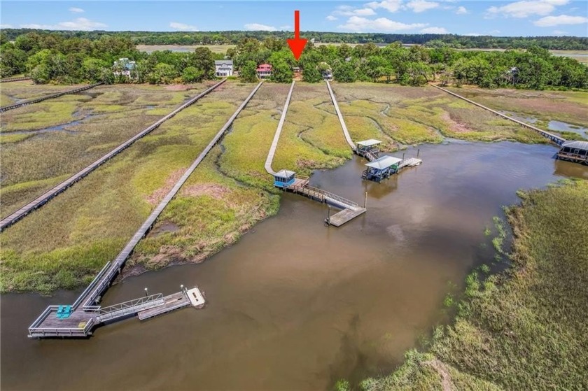 Rare opportunity on historic Tolomato Island! This ready to - Beach Lot for sale in Darien, Georgia on Beachhouse.com