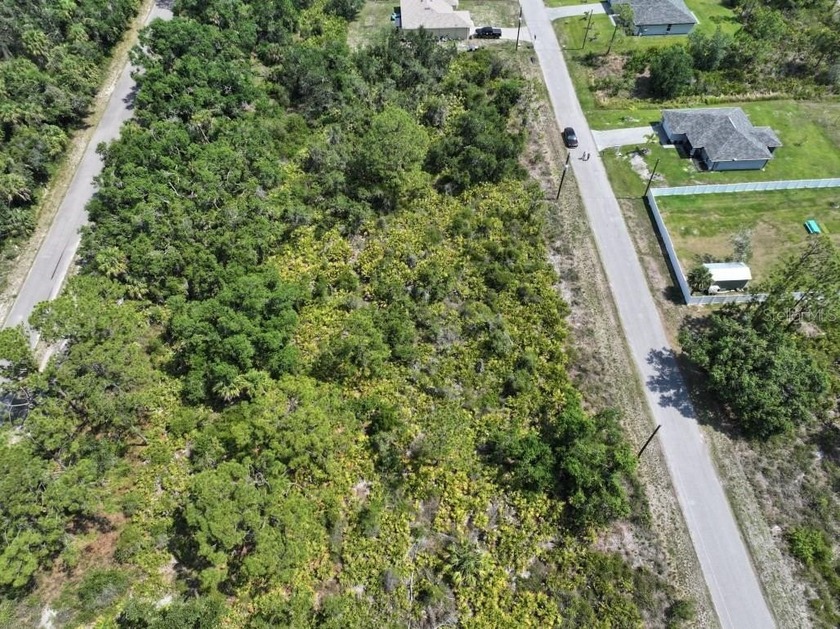 Discover the perfect opportunity to build your dream home on - Beach Lot for sale in North Port, Florida on Beachhouse.com