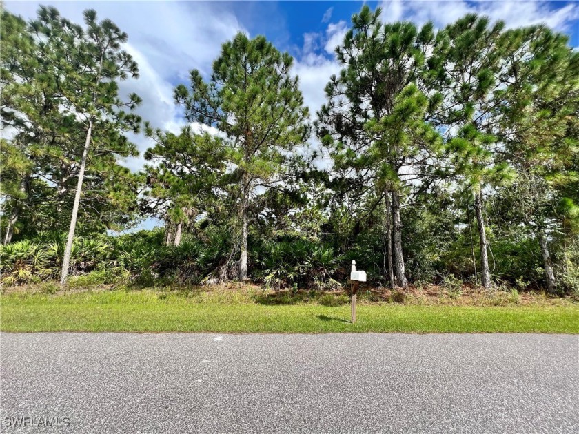 Nice lot located within minutes from popular shopping center - Beach Lot for sale in Port Charlotte, Florida on Beachhouse.com