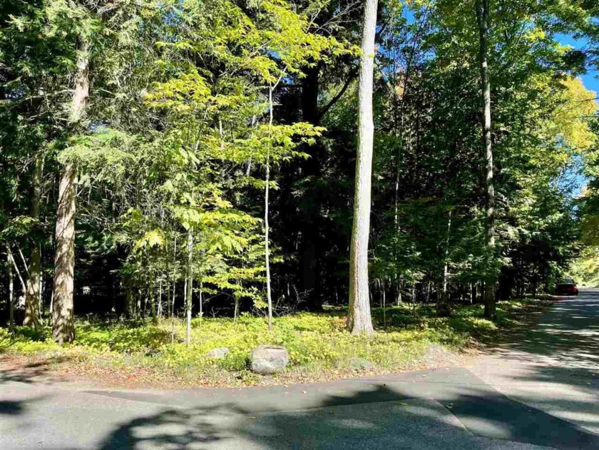 Great opportunity to build in the Roaring Brook Association - Beach Lot for sale in Harbor Springs, Michigan on Beachhouse.com