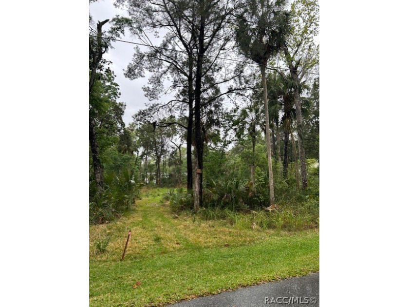 Build your dream home in Old Homosassa on this .47 acre cleared - Beach Lot for sale in Homosassa, Florida on Beachhouse.com