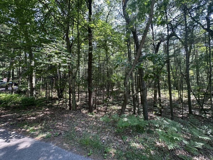 Beautiful wooded lot now available in the desirable Apache Hills - Beach Lot for sale in Pentwater, Michigan on Beachhouse.com