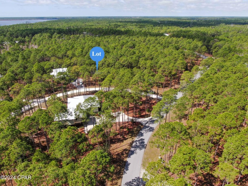 For the outdoor enthusiast who loves wildlife and being away - Beach Lot for sale in Panama City Beach, Florida on Beachhouse.com