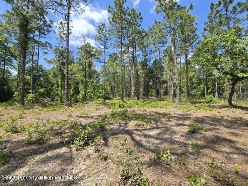 Don't miss your chance to build your dream home on this - Beach Lot for sale in Weeki Wachee, Florida on Beachhouse.com