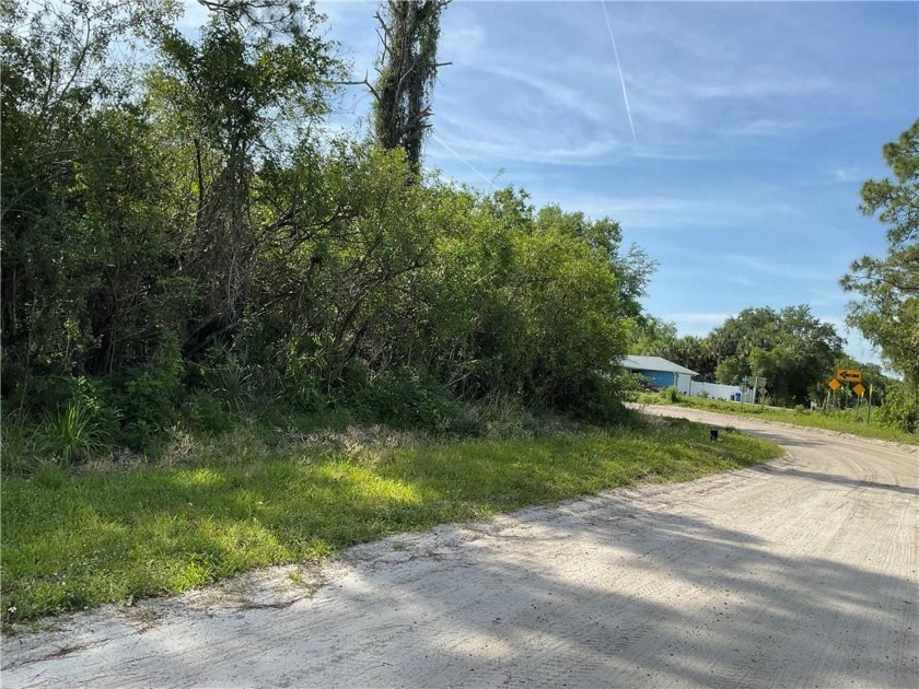 This is it...what you have been looking for - .48 acres (that - Beach Lot for sale in Vero Beach, Florida on Beachhouse.com