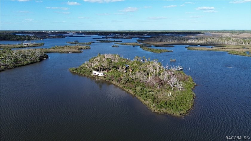 Private Island Offering---Boat Access Only! This is a rare - Beach Home for sale in Homosassa, Florida on Beachhouse.com