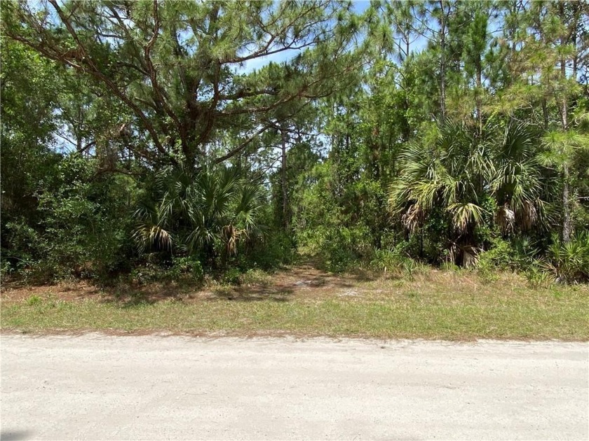 22 acre lot in the great residential neighborhood of Vero Lake - Beach Lot for sale in Vero Beach, Florida on Beachhouse.com
