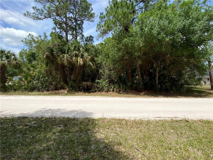 44 acre lot in the great residential neighborhood of Vero Lake - Beach Lot for sale in Vero Beach, Florida on Beachhouse.com