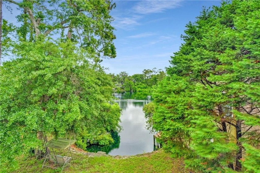 What a great opportunity to live on the lake at an amazing - Beach Home for sale in Brunswick, Georgia on Beachhouse.com