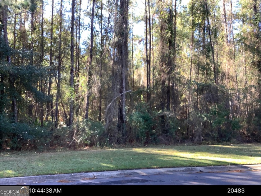 THIS SIZABLE HOME SITE IS LOCATED IN THE BEAUTIFUL, TREE LINED - Beach Lot for sale in Woodbine, Georgia on Beachhouse.com