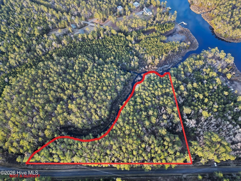 6.07 acres of wooded waterfront land with tons of potential! - Beach Acreage for sale in Oriental, North Carolina on Beachhouse.com