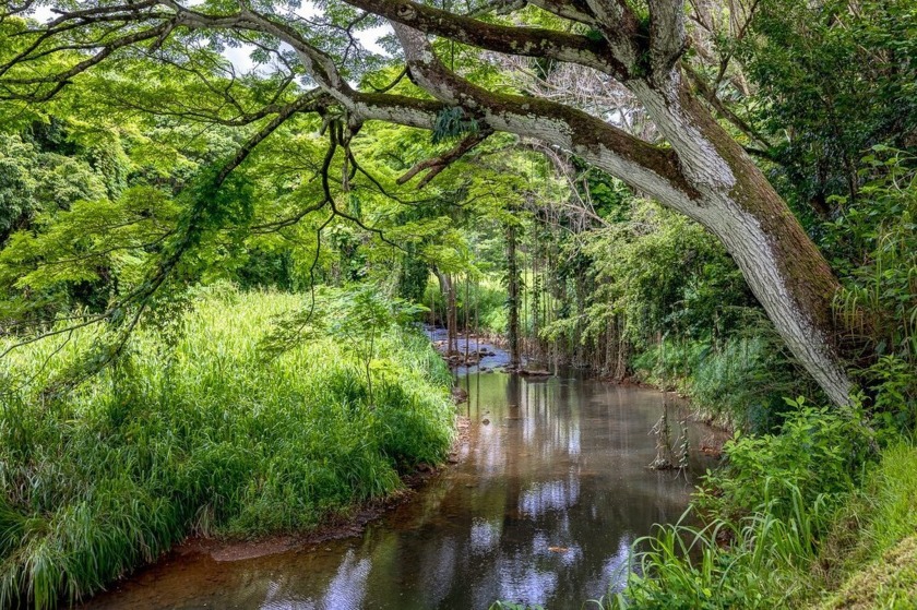 Nature & adventure lovers will be enchanted by this hidden oasis - Beach Home for sale in Kapaa, Hawaii on Beachhouse.com
