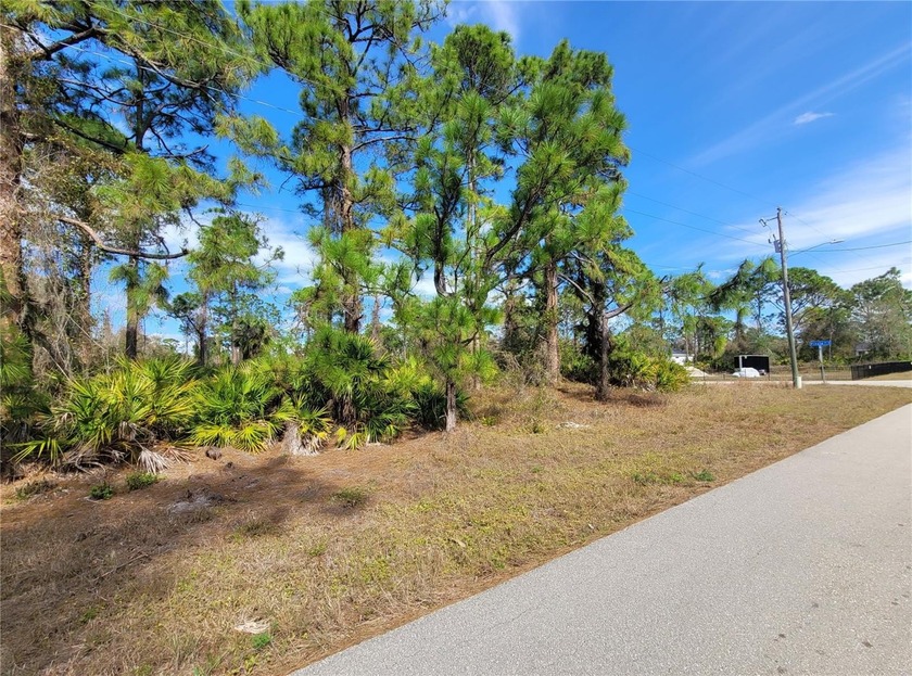 Imagine building your dream home on this fantastic, expansive - Beach Lot for sale in Lehigh Acres, Florida on Beachhouse.com