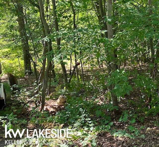 Lake Access - Vacant lot, partially wooded. Great building site - Beach Lot for sale in Caseville, Michigan on Beachhouse.com