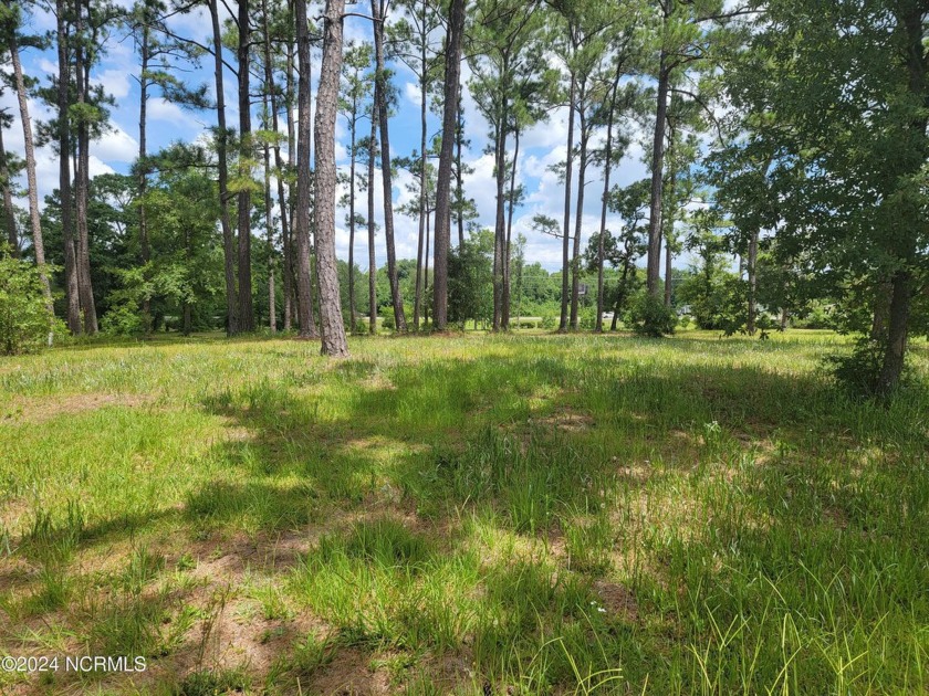 Beautiful .40/acre home site that sits up high and dry from the - Beach Lot for sale in Ocean Isle Beach, North Carolina on Beachhouse.com