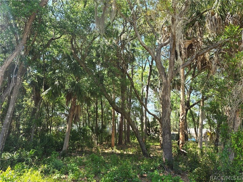 PRICED TO SELL! This is your chance to own a piece of Florida's - Beach Lot for sale in Crystal River, Florida on Beachhouse.com