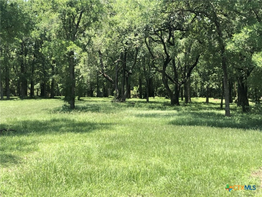 Fantastic property loaded with beautiful trees and frontage on - Beach Acreage for sale in Blessing, Texas on Beachhouse.com