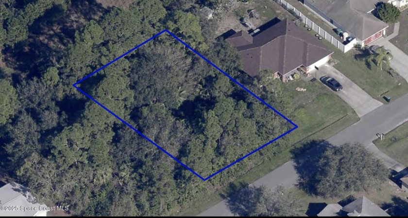 Great opportunity to invest in land for your future dream home! - Beach Lot for sale in Palm Bay, Florida on Beachhouse.com