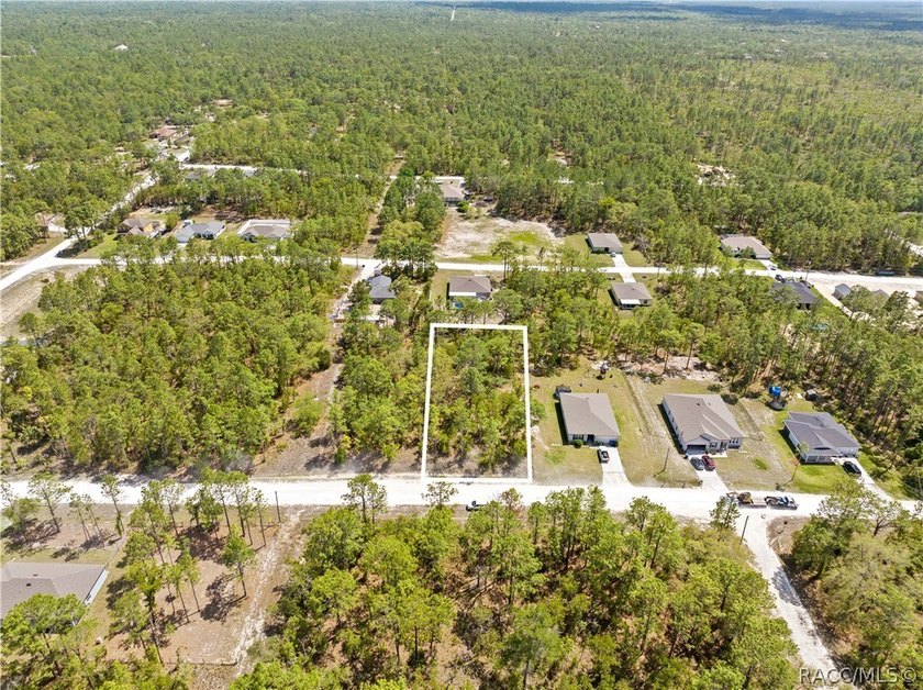 Build your dream home on this 0.46-acre vacant lot in Weeki - Beach Lot for sale in Weeki Wachee, Florida on Beachhouse.com