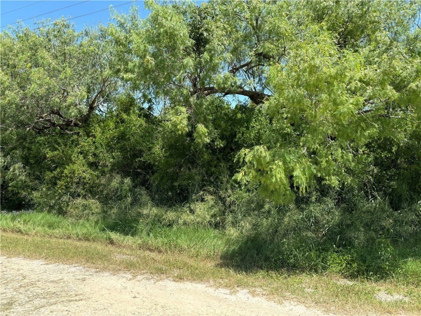 This property has not been cleared. Has a water tap paid to the - Beach Lot for sale in Bayside, Texas on Beachhouse.com