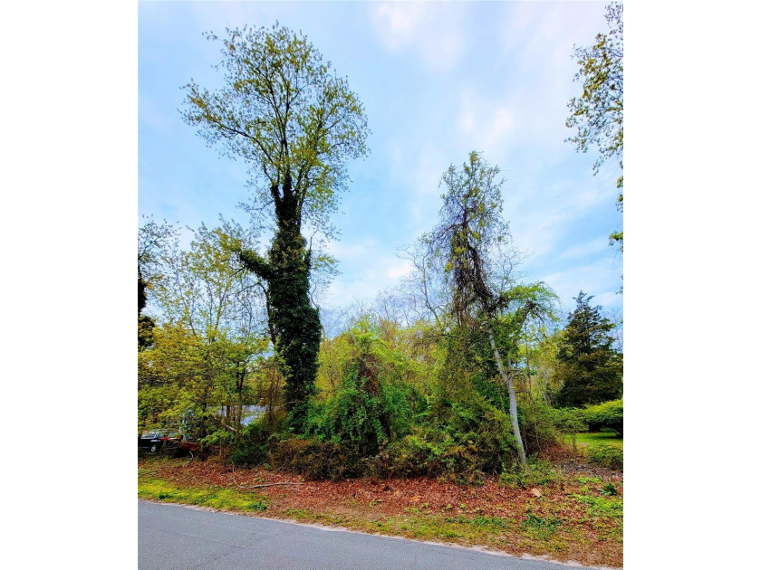 Imagine building your dream retreat where the gentle breeze from - Beach Lot for sale in Cutchogue, New York on Beachhouse.com
