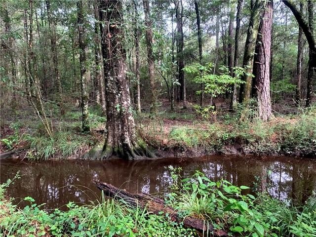 Amazing Opportunity to own a huge property in Mandeville - Beach Acreage for sale in Mandeville, Louisiana on Beachhouse.com