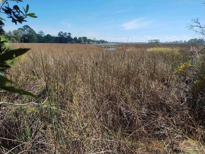 Come build your dream home on this beautiful 2+acre waterfront - Beach Acreage for sale in Milton, Florida on Beachhouse.com